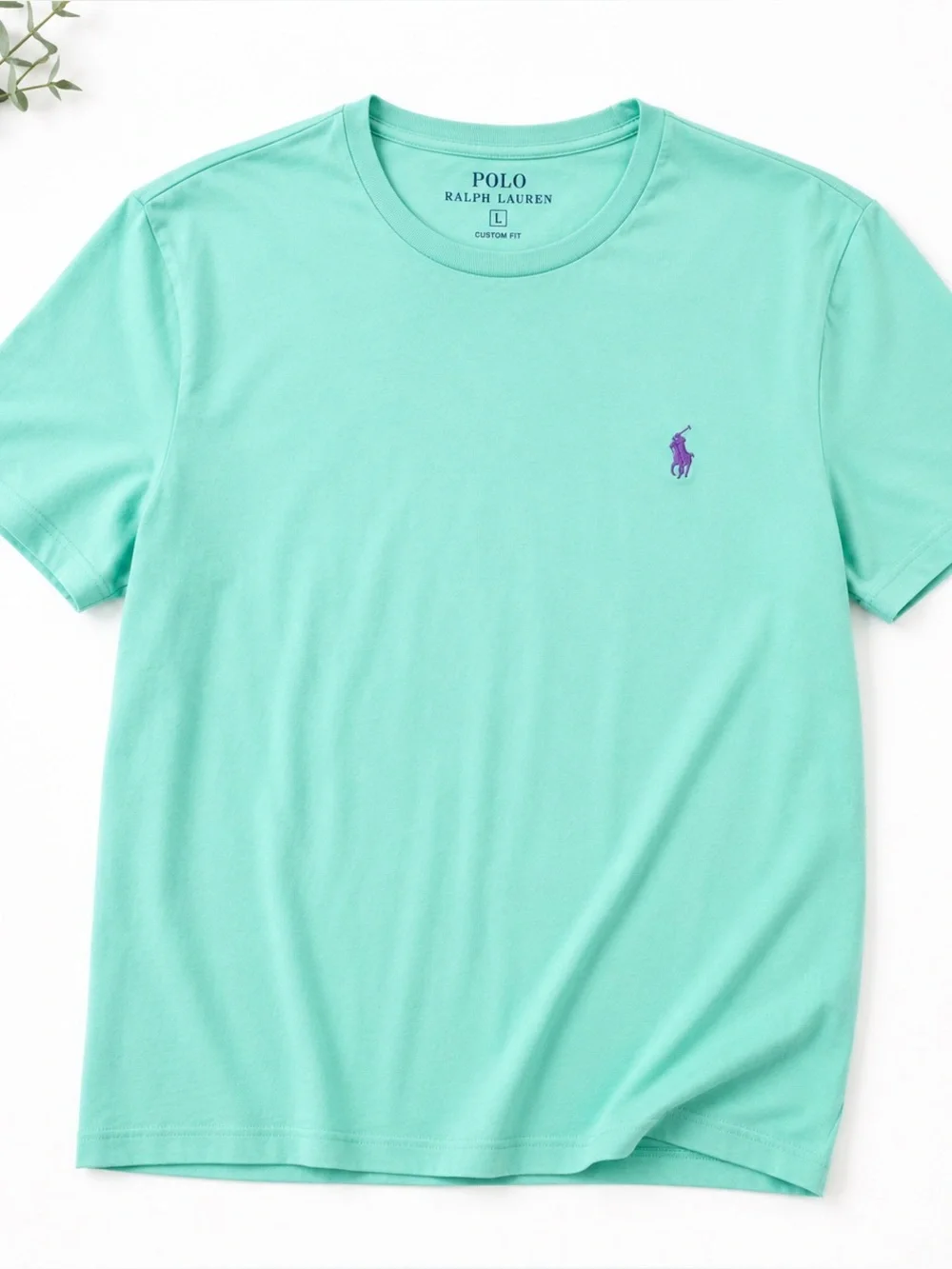 Polo Ralph Lauren Men’s Mint Green Crew Neck T-Shirt Large Purple Pony Logo